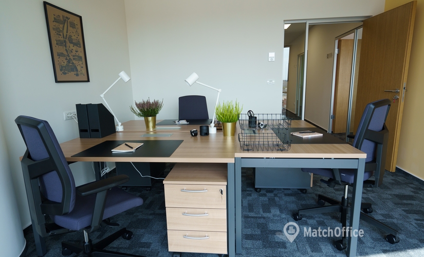 3300 m² Business space property available to rent in Bucharest, Bulevardul Tudor Vladimirescu 29 (050881) - 9 | MatchOffice.com