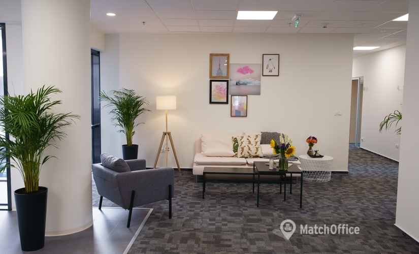 300 m² Meeting room in Bucharest, Bulevardul Tudor Vladimirescu 29 (050881) - 4 | MatchOffice