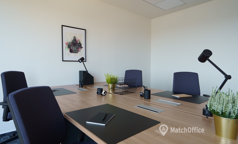 2800 m² Business park place up for rent in Bucharest, Bulevardul Tudor Vladimirescu 29 (050881) - 4 | MatchOffice.com