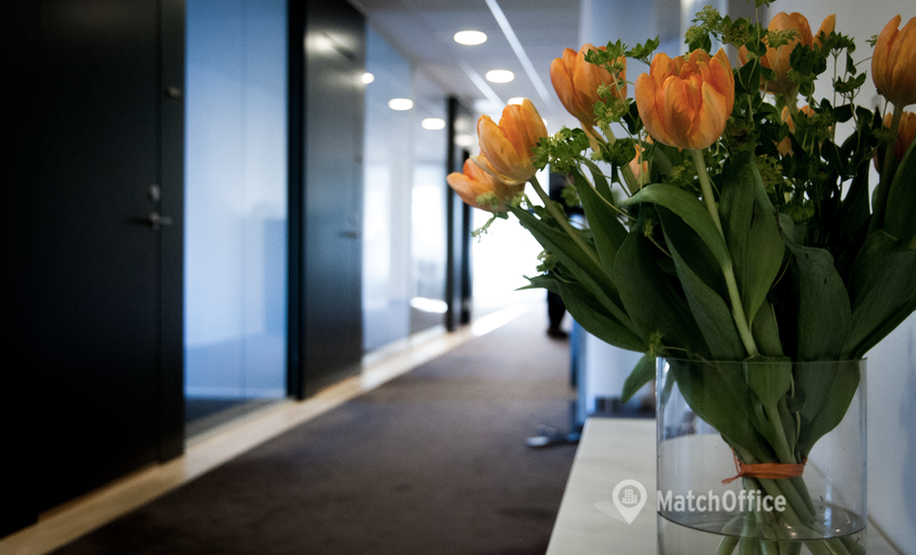 Hyr flexibel 50 m² Flexibel arbetsplats i Stockholm City, Regeringsgatan 48 (111 56) - 2 | MatchOffice