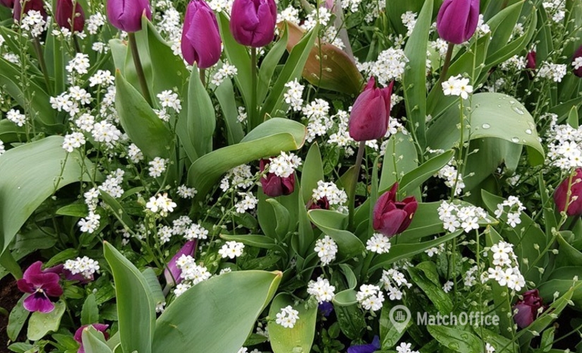 Shop Vallentuna, Torggatan 11 186 31 Stockholm Norrort