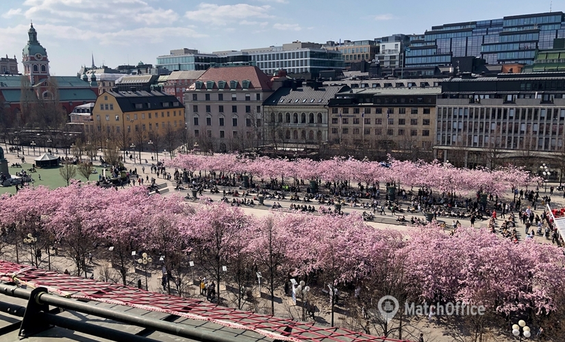 284 m² flexibla Kontorsplatser för uthyrning i Stockholm City, Stockholm (111 47) möter alla dina önskemål  - 4 | MatchOffice