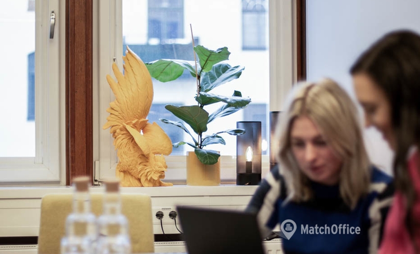 Kontorshotell(Yta:25 m²) för uthyrning i Norrtullsgatan 6, 113 29 Vasastan. WiFi-anslutning ingår | MatchOffice.se