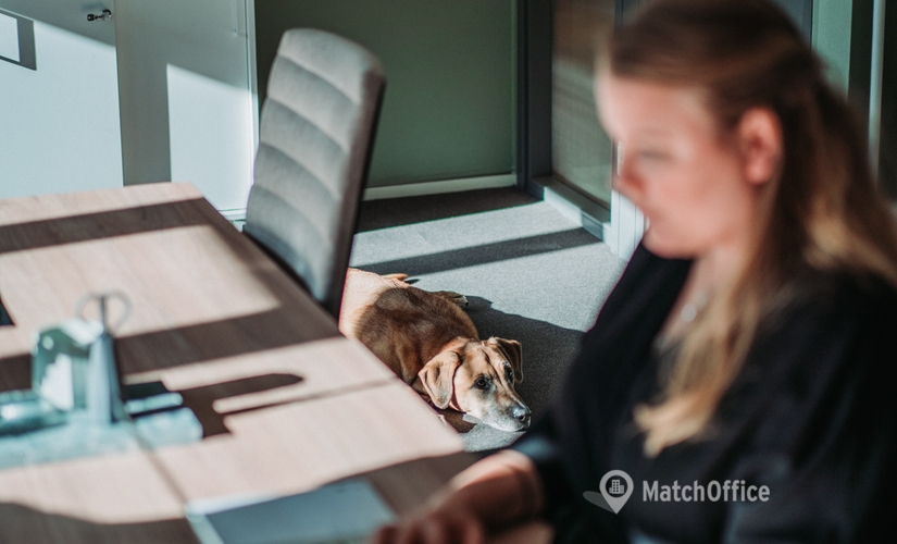 Anslut till våra lediga Företagsadresser i Stockholm Norrmalm, Vasagatan 28 (111 20) - 1 | MatchOffice