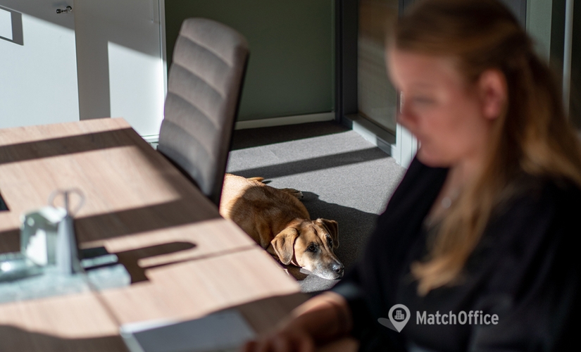 9 m² Commercial office up for rent in Norrmalm, Vasagatan 28, 111 20 - 0 | MatchOffice