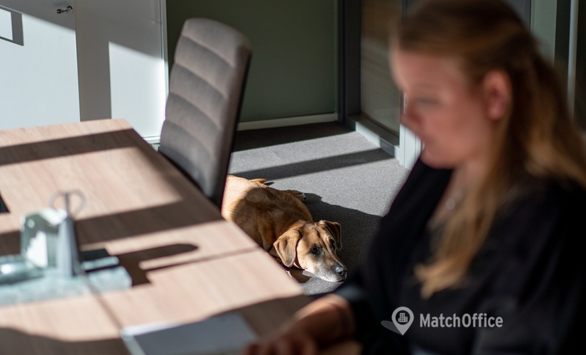 Kontorshotell(Yta:235 m²) för uthyrning i Vasagatan 28, 111 20 Stockholm City. Endast från verifierade hyresvärdar | MatchOffice.se