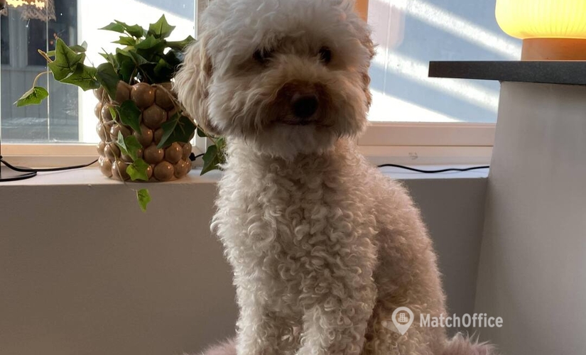 Kontorsrum(Yta:8 m²) att hyra i Mässans Gata 10, 402 24 Göteborg Centrum. Handikappanpassad | MatchOffice.se