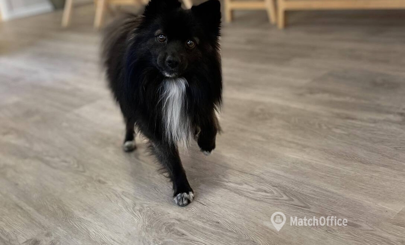 Affärscentrum(Yta:8 m²) att hyra i Mässans Gata 10, 402 24 Göteborg Centrum. Tillgång 24/7 | MatchOffice.se