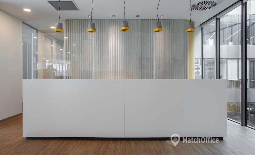 Virtual address in Istanbul City Center, Esas Kurtköy Aeropark - 5.kat (34912) - 1 | MatchOffice