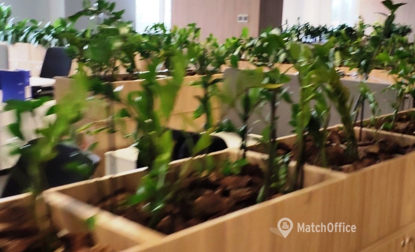 Бізнес-центр вулиця Московська 32 02000 Київ