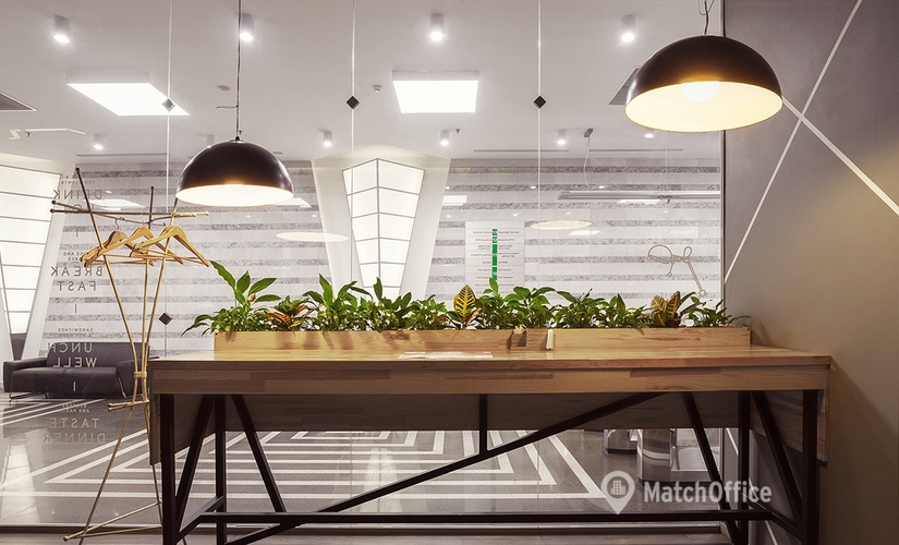 2000 m² Serviced office property available to rent in Shevchenkivskiy district, Zhylianska Street 75 (01032) - 3 | MatchOffice