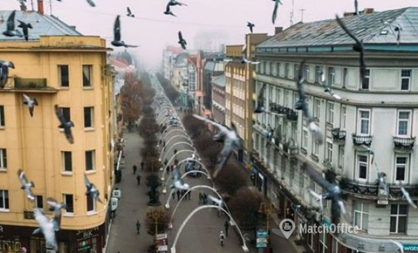 362 m² Business center in Ivano-Frankivsk, Harbars'ka Street 22 (76000) - 4 | MatchOffice