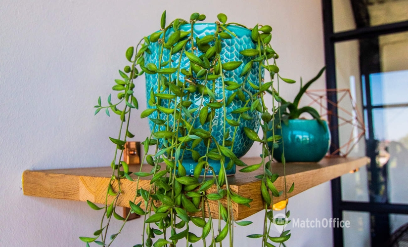 300 m² Coworking space in Cape Town, 66 Albert Rd (7915) - 4 | MatchOffice.com