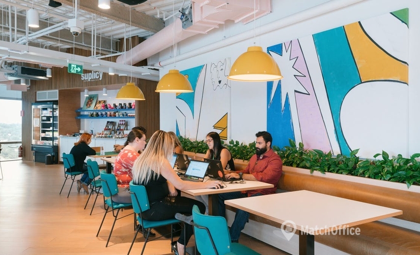 40 m² Serviced office property for rent in Sao Paulo, Rua Butantã 336 (05424-140) - 2 | MatchOffice