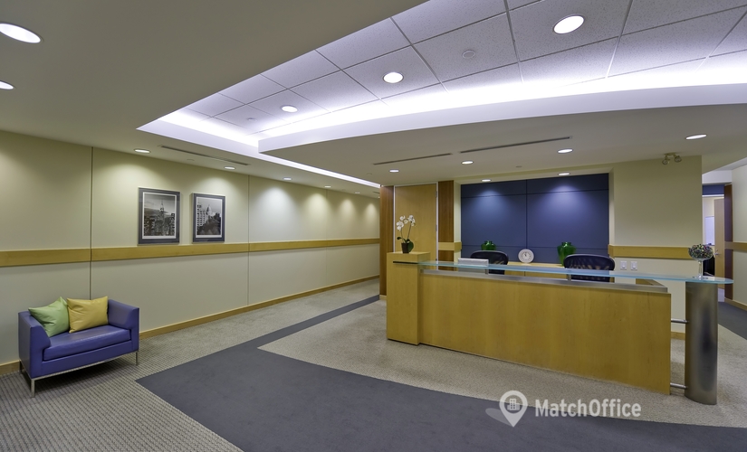 50 m² Business space in Markham, ON, 675 Cochrane Drive East Tower (L3R 0B8) - 1 | MatchOffice.com