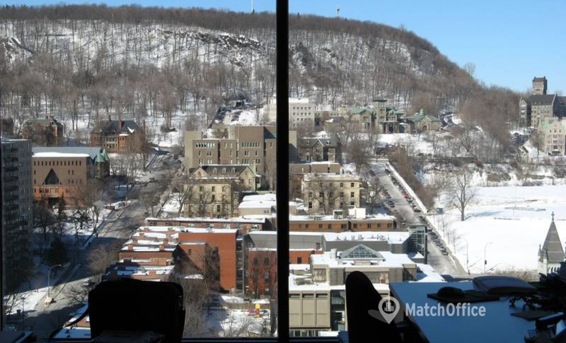 250 m² Shared workspace  in Montreal, QC, 1010 Sherbrooke Street West (H3A 2R7) - 4 | MatchOffice