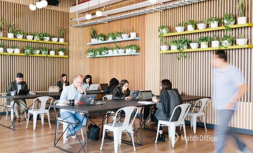 40 m² Coworking in Toronto, East Liberty Street 171 (M6K 3P6) - 3 | MatchOffice