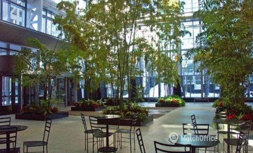 Virtual office space in Montreal, QC, 1250 René Lévesque Blvd. (H3B 4W8) - 2 | MatchOffice