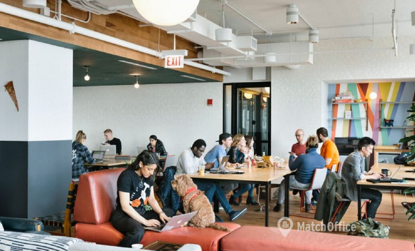 100 m² Shared workspace in Santiago, Mariano Sánchez Fontecilla (7550296) - 0 | MatchOffice