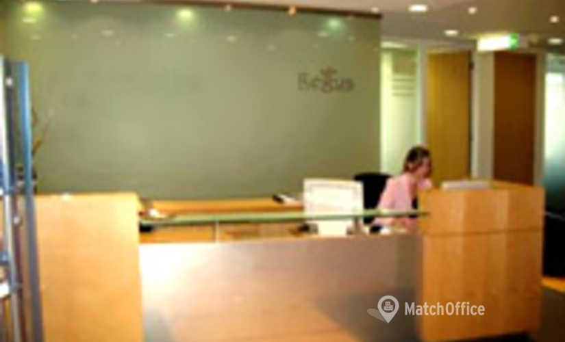 40 m² Business center in Santiago, Avenida Vitacura 2939 Piso10 (7550011) - 2 | MatchOffice.com