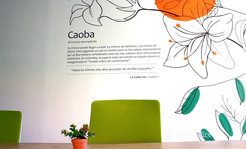 700 m² Serviced office in Medellín, Transversal 39B #73-23 interior 201 (050030) - 4 | MatchOffice