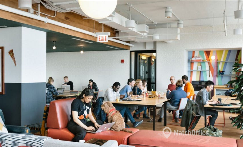 100 m² Business center in Mexico City, Sección Rincón del Bosque (11589) - 3 | MatchOffice