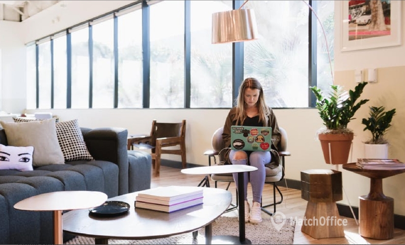 100 m² Business center in Mexico City, Avenue De Las Palmas (52764) - 2 | MatchOffice