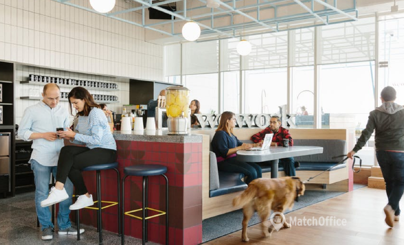50 m² Coworking  in Mexico City, Avenida de los Insurgentes Sur 601 (03810) - 1 | MatchOffice