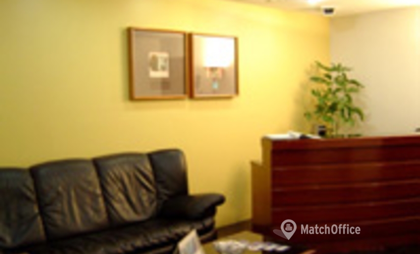 45 m² Coworking in Mexico City, Homero 203 (11570) - 3 | MatchOffice.com