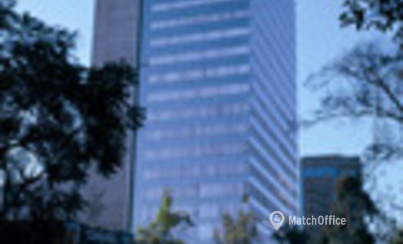 40 m² Coworking space  in Mexico City, Presidente Masaryk 61 (03100) - 4 | MatchOffice.com