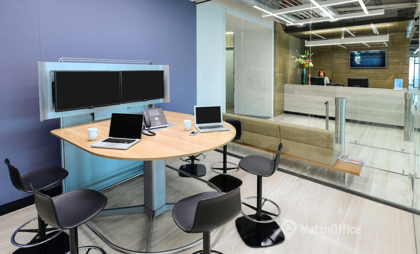 1000 m² Business space in Mexico City Miguel Hidalgo, Pedregal 24 (11000) - 2 | MatchOffice.com