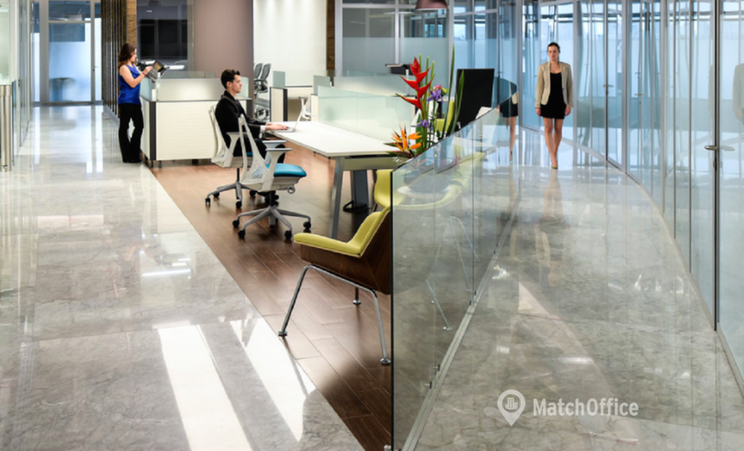 150 m² Business space in Mexico City, Insurgentes Sur 859 (03810) - 3 | MatchOffice.com