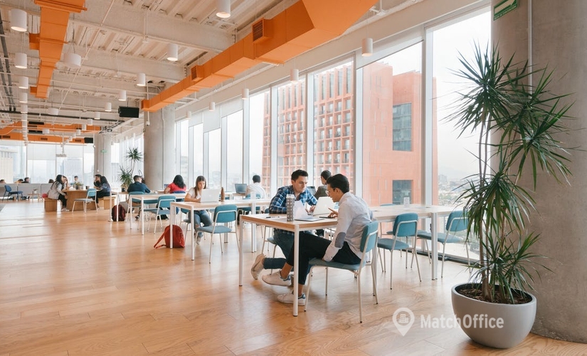 40 m² Serviced office building available to rent in Mexico City, Avenida Santa Fe 505 (01219) - 4 | MatchOffice