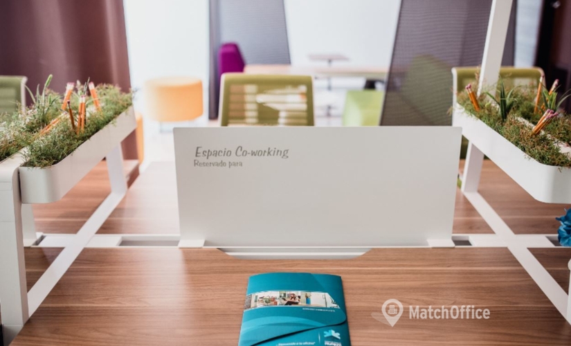 14 m² Business park place for rent in Monterrey, Boulevard Francisco Eusebio Kino 315 (83010) - 2 | MatchOffice