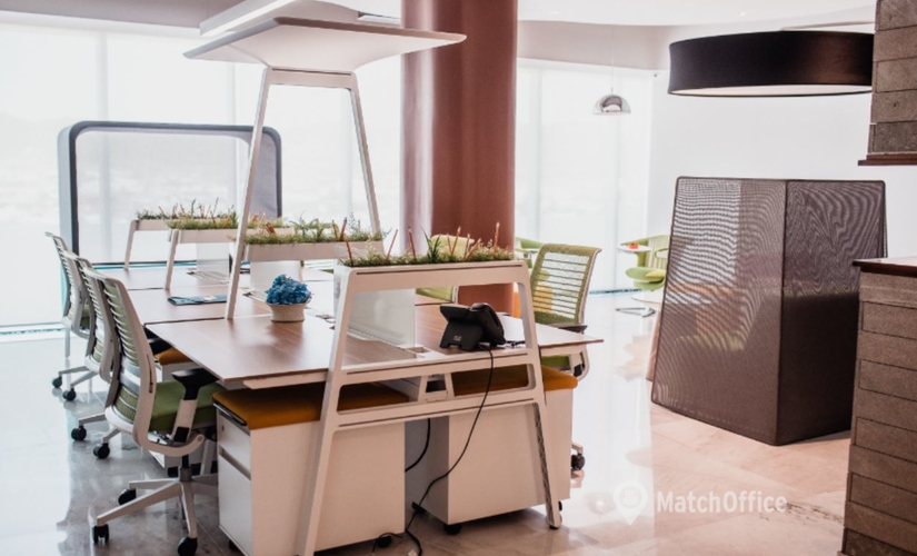 14 m² Business center property up for rent in Monterrey, Boulevard Francisco Eusebio Kino 315 (83010) - 3 | MatchOffice.com