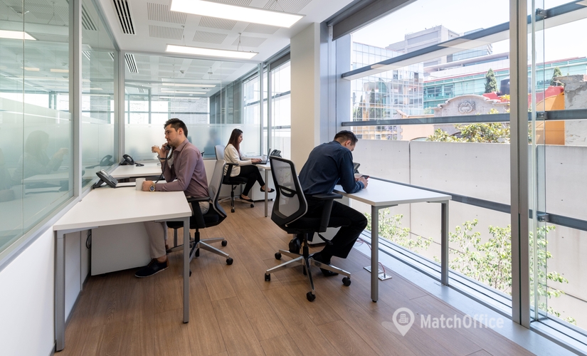 67 m² Shared office  in Mexico City, Prado Sur 150 (11000) - 3 | MatchOffice