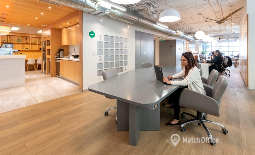 67 m² Shared workspace  in Mexico City, Prado Sur 150 (11000) - 0 | MatchOffice.com