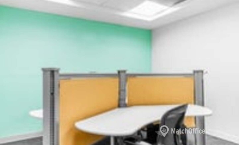 167 m² Business center in Mexico City, Avenida Presidente Masaryk 29 (11560) - 1 | MatchOffice.com