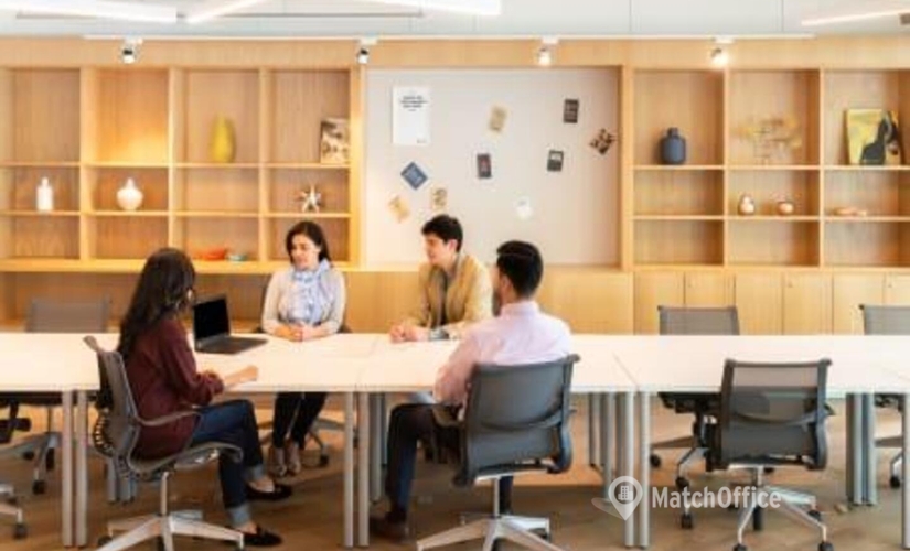 100 m² Conference center in Mexico City, Arquimedes 15 (11580) - 3 | MatchOffice.com