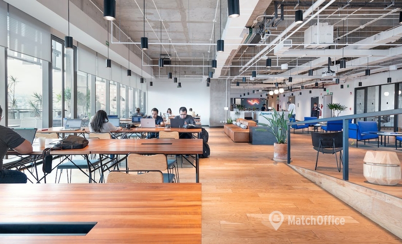 100 m² Business center in Mexico City, Jardines del Pedregal (01900) - 4 | MatchOffice