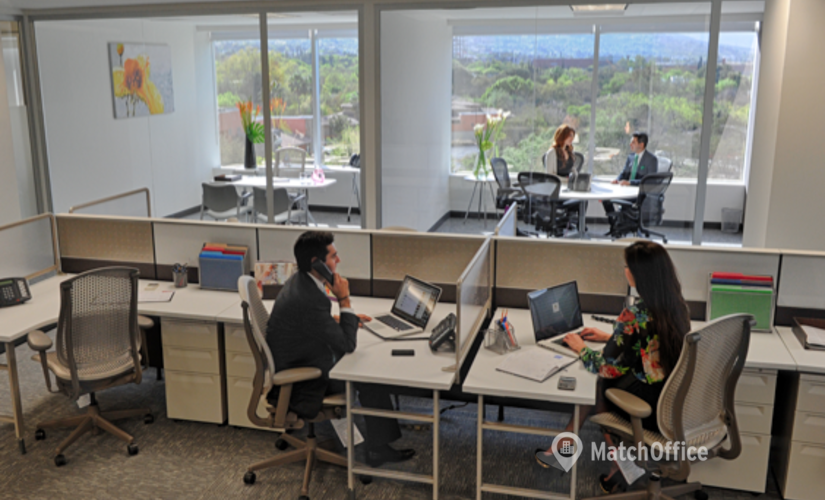 1000 m² Serviced office in Monterrey, Ricardo Margáin 575 (66267) - 3 | MatchOffice.com