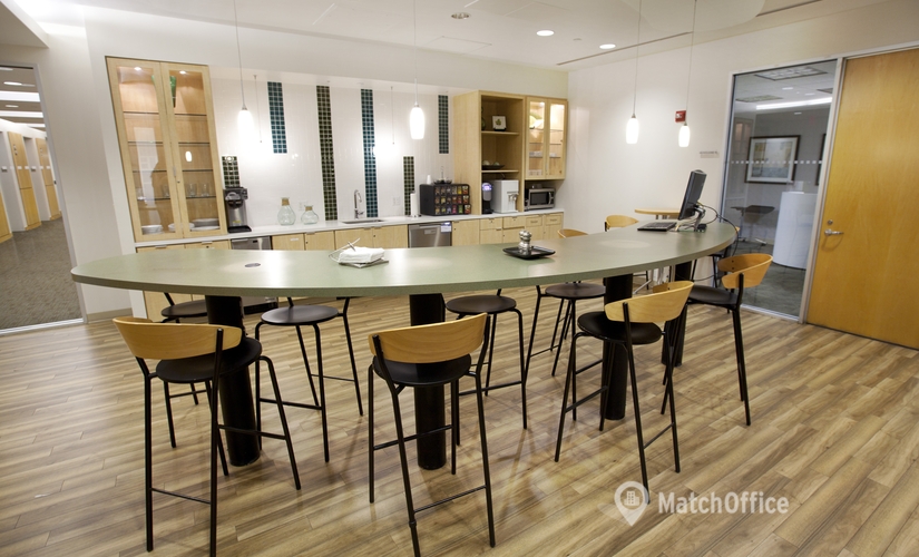 250 m² Business center building up for rent in Miami, FL, 201 S Biscayne Blvd (33131) - 3 | MatchOffice