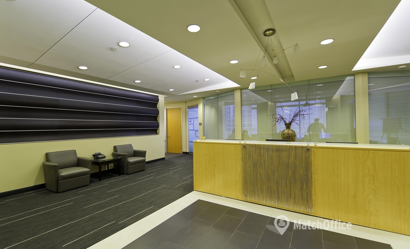 250 m² Business space in Houston Central, TX, 1200 Smith Street (77002) - 1 | MatchOffice.com