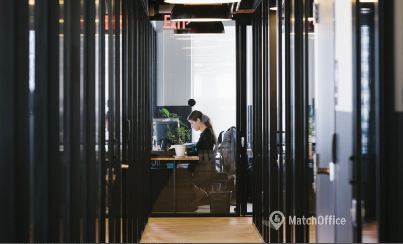 100 m² Business center in Atlanta, GA, Peachtree Road Northeast 3280 (30305) - 4 | MatchOffice.com