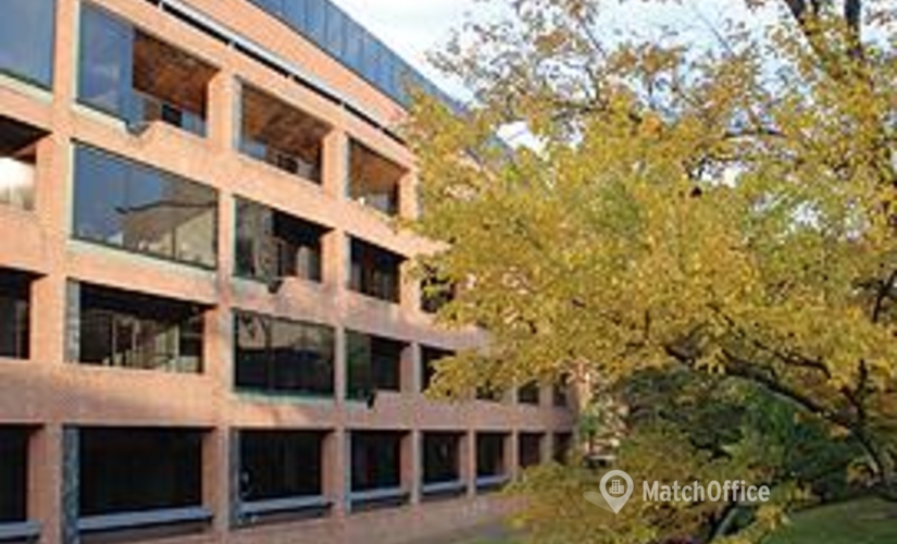 50 m² Business space in Washington West End, DC, 1101 30th Street (20007) - 4 | MatchOffice