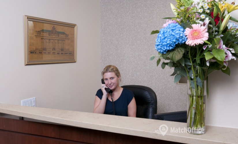 50 m² Serviced office in New York Financial District, NY, 44 Wall Street (10005) - 1 | MatchOffice.com