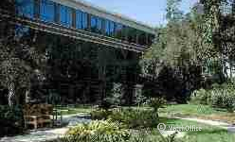 Business center 10150 Highland Manor Drive/ Suite 200, Tampa, Fl 33610 Tampa, FL