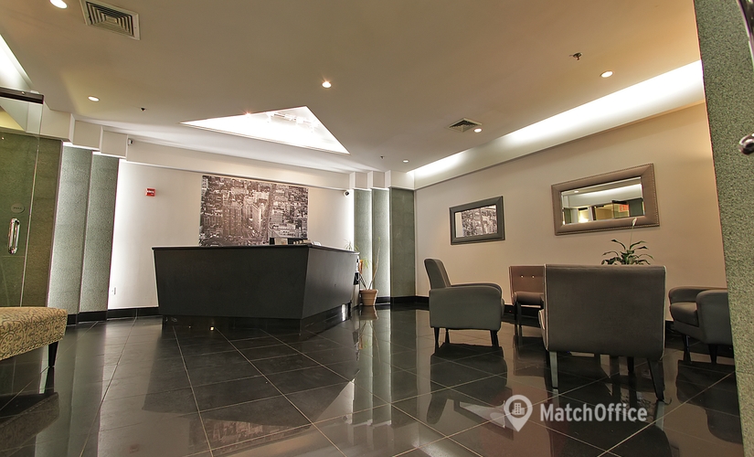 50 m² Business center in New York Chelsea, NY, 116 West 23rd Street (10011) - 1 | MatchOffice