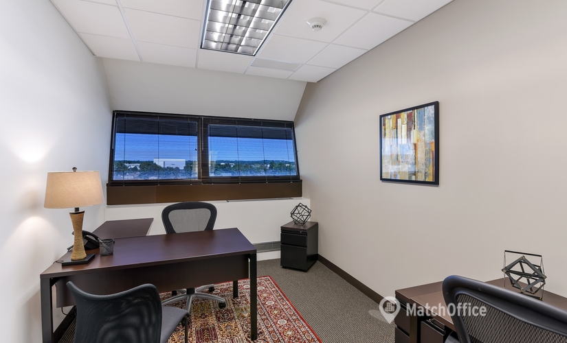 250 m² Shared workspace in New York Midtown East, NY, 100 Duffy Avenue (11801) - 4 | MatchOffice