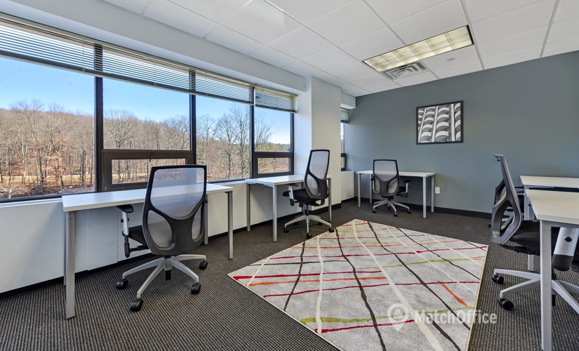 250 m² Co-working  in Mt. Kisco, 100 South Bedford Road (10549) - 0 | MatchOffice.com